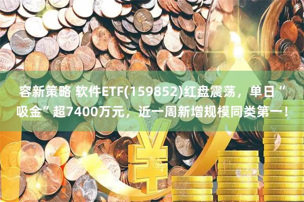 容新策略 软件ETF(159852)红盘震荡，单日“吸金”超7400万元，近一周新增规模同类第一！