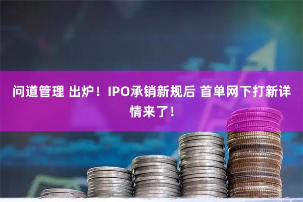 问道管理 出炉！IPO承销新规后 首单网下打新详情来了！