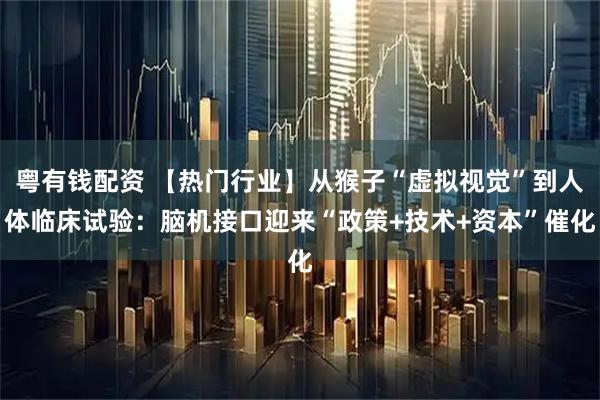 粤有钱配资 【热门行业】从猴子“虚拟视觉”到人体临床试验：脑机接口迎来“政策+技术+资本”催化