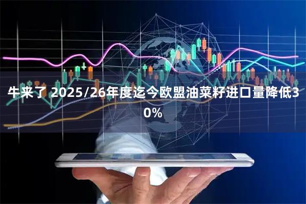 牛来了 2025/26年度迄今欧盟油菜籽进口量降低30%