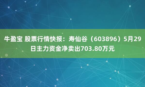 牛盈宝 股票行情快报：寿仙谷（603896）5月29日主力资金净卖出703.80万元