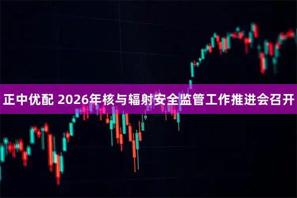 正中优配 2026年核与辐射安全监管工作推进会召开
