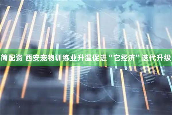 简配资 西安宠物训练业升温促进“它经济”迭代升级