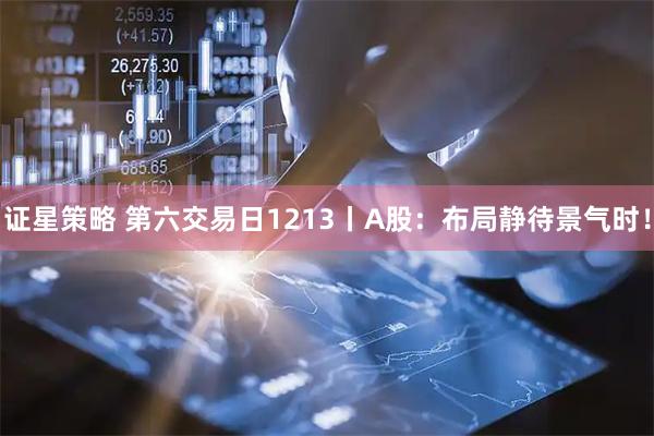 证星策略 第六交易日1213丨A股：布局静待景气时！